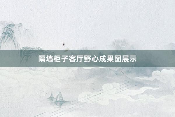 隔墙柜子客厅野心成果图展示